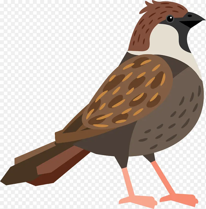 ��ͨ�ɰ�С����װ����ƶ���ͷ��-������