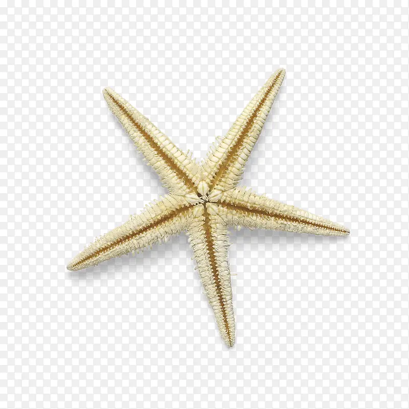 ʵ�ﺣ�����ﺣ��-������