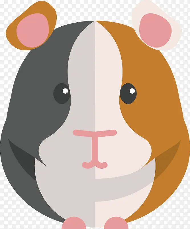 ��ͨ����-������