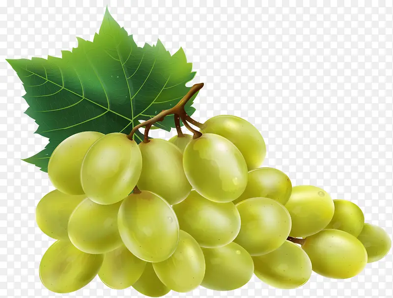 ��ͨ�ֻ�ˮ��װ�κ����������-������