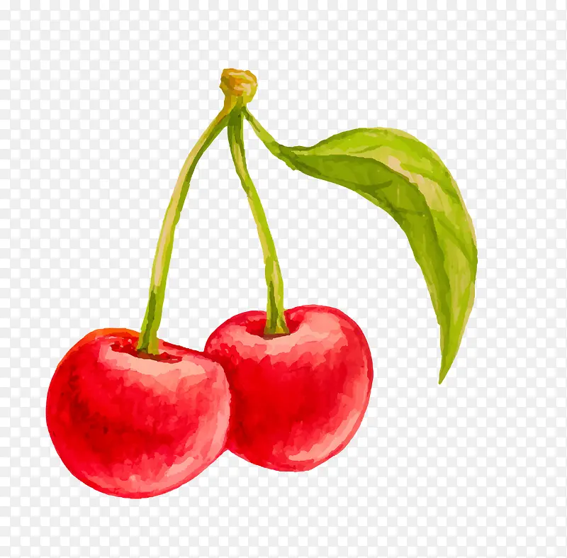 ʸ��ˮ��ӣ���ز�-������