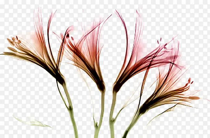 ˮī������-������