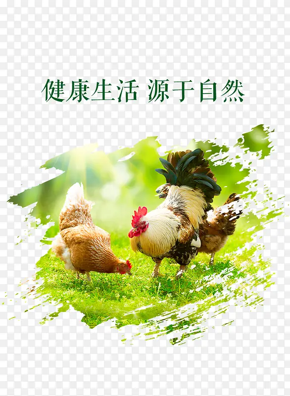 ĸ������-������