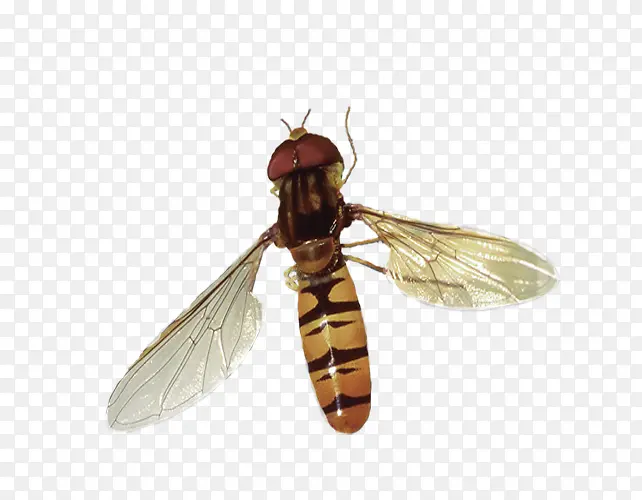 �۷����-������