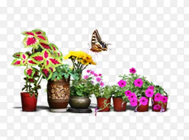 ����Ҿ�װ���ز�-������