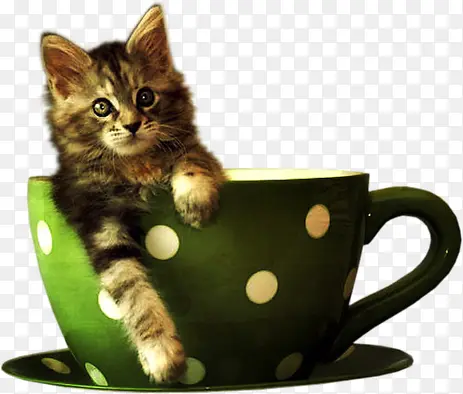 �������Сè-������