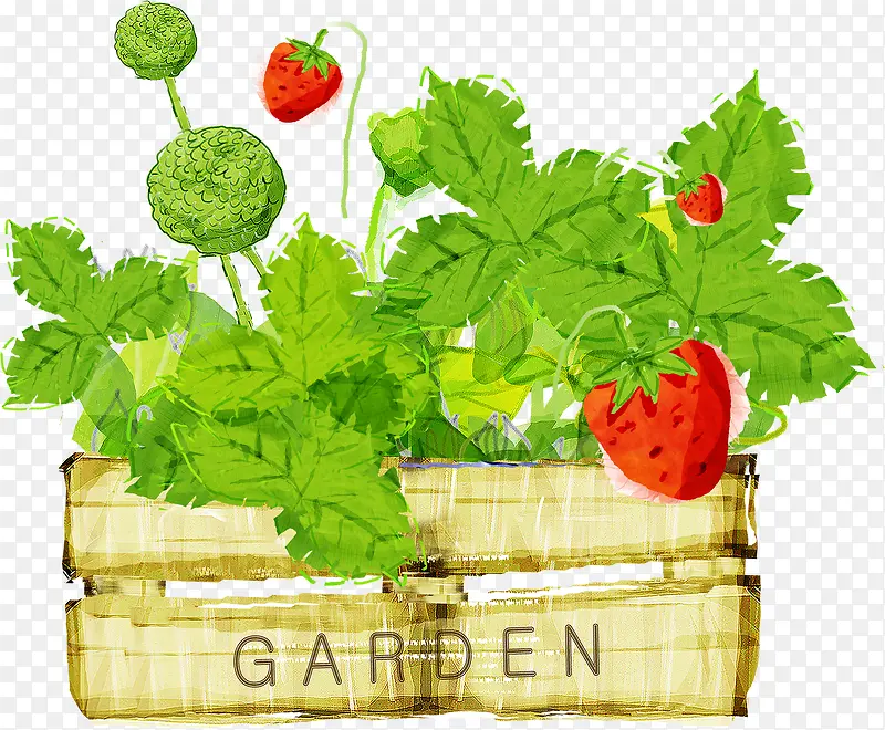 �ֻ��ݮ����ʱ�к���-������