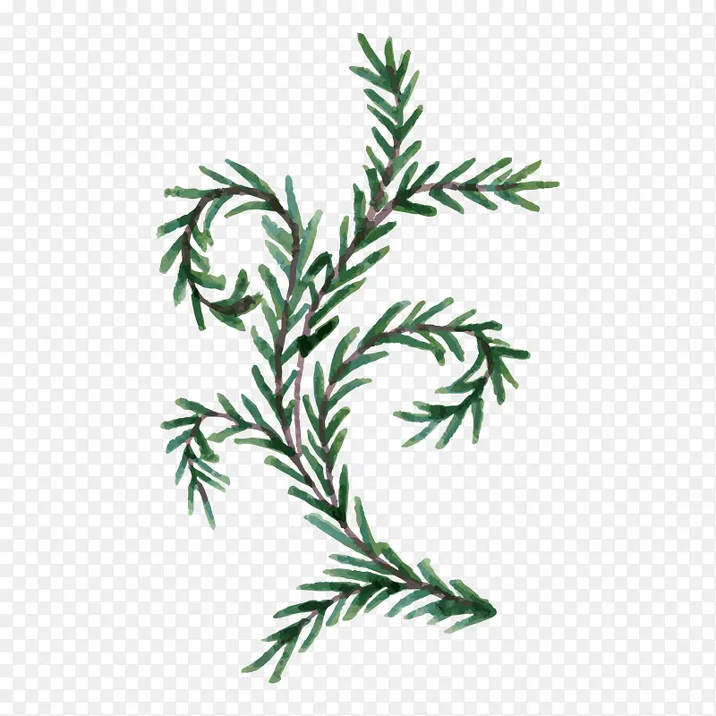 �ֻ���ɫ֦Ҷ-������