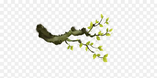 ��ͨ��֦ͼ-������