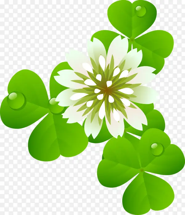 �����̲���¶��Ҷ�ݷ�ʽ�����ʻ�-������