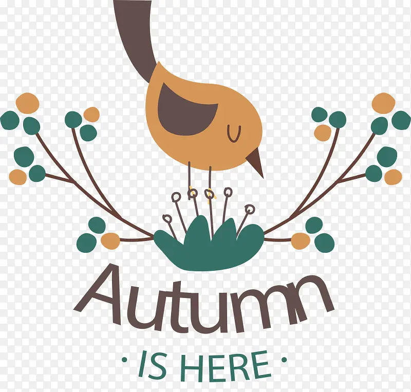 ����������С��-������