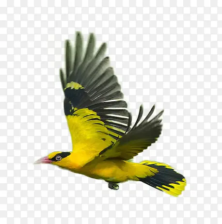 ������������-������