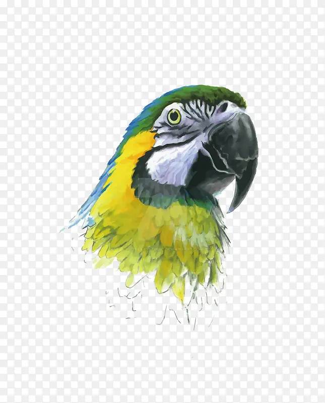 ʸ������-������