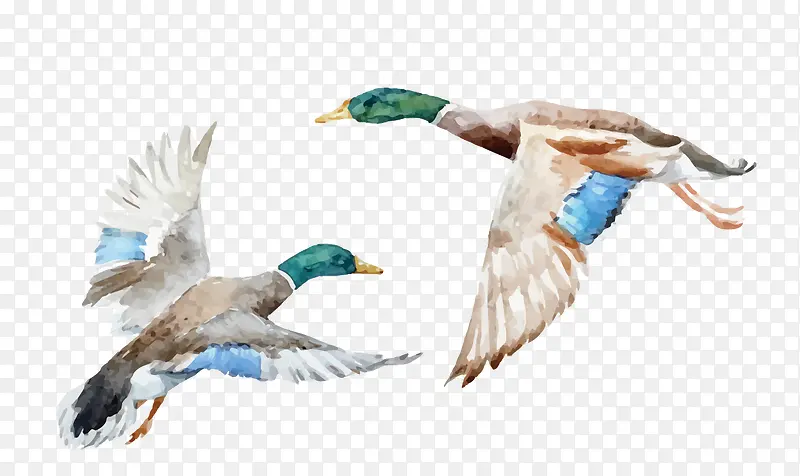 ʸ��ˮ���ֻ�ҰѼ-������