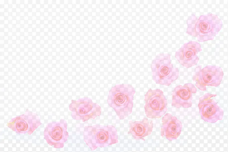 ��ɫõ�廨������Ӱ����-������