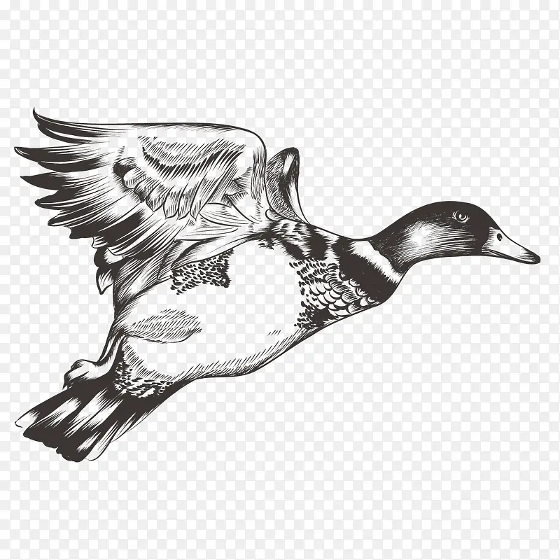 �ֻ涯��-������