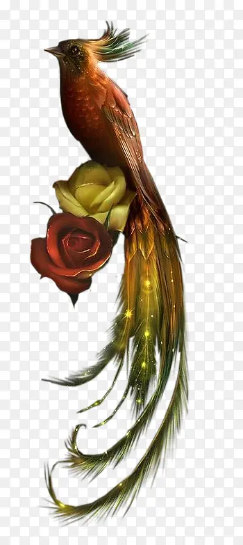 ��ɫ������-������