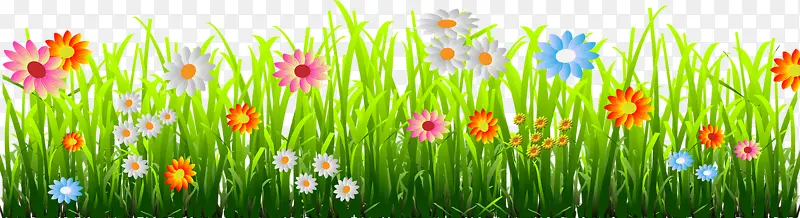 �ֻ��ƺ-������