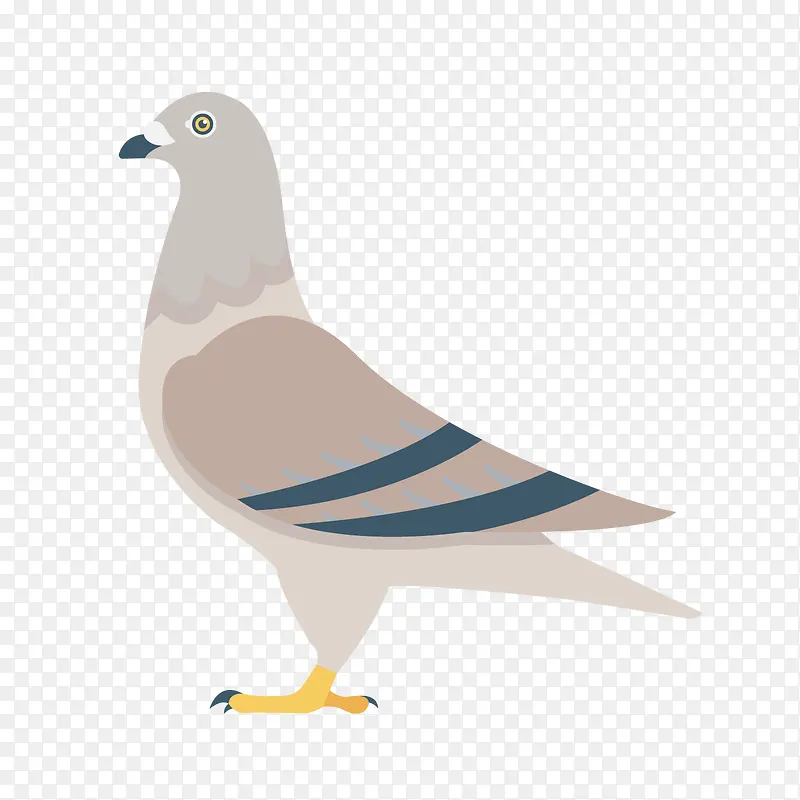 ��ͨ�ֻ�������Ԫ��-������