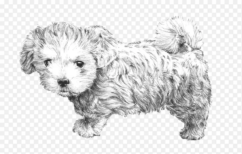 ��ɫ̩��С��-������