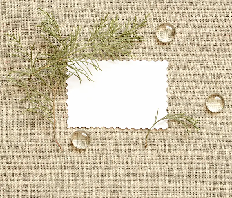 ��֦��ˮ���鲼����-������