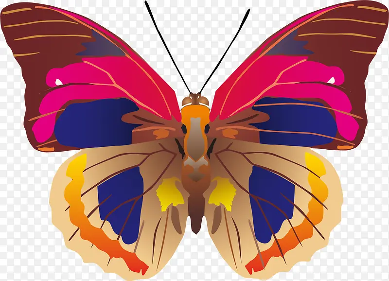 ��ɫ������ʸ���ز�-������