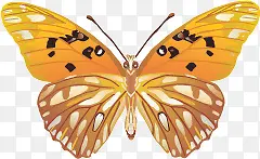 ��ɫ������ʸ���ز�-������