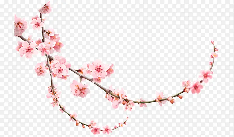 ��Ʒʵ���һ���֦�һ�֦��Ʒʵ��-������