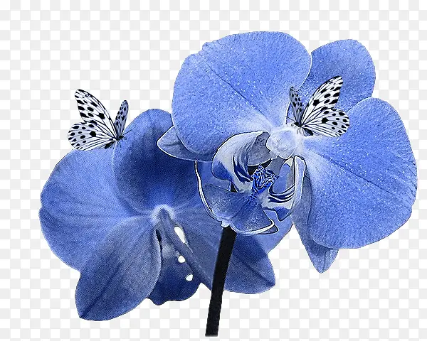 ��ͨװ���ز��ֻ滨���ز�-������