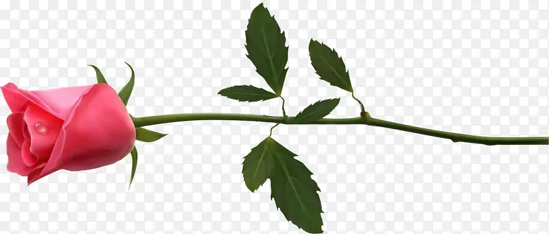 ��Ʒʵ��-������