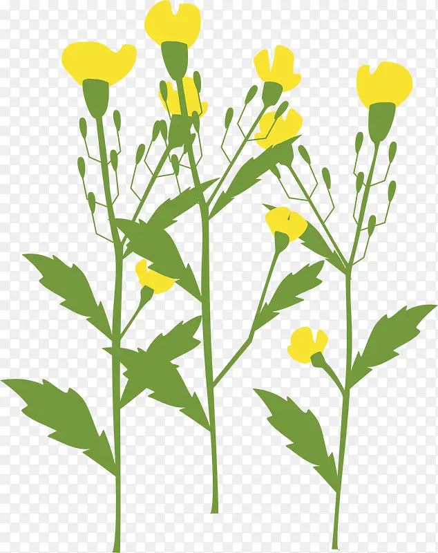 �ƻ�pngʸ���ز�-������