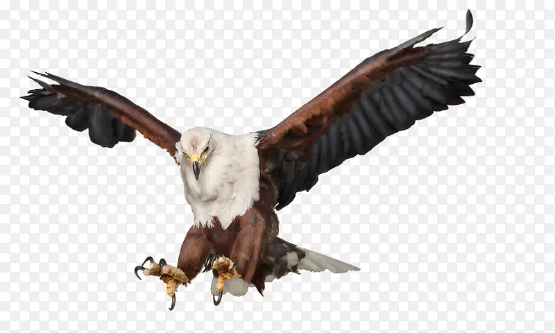 �������ӥ-������