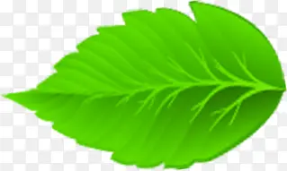 ������Ҷ��ͨΨ��-������