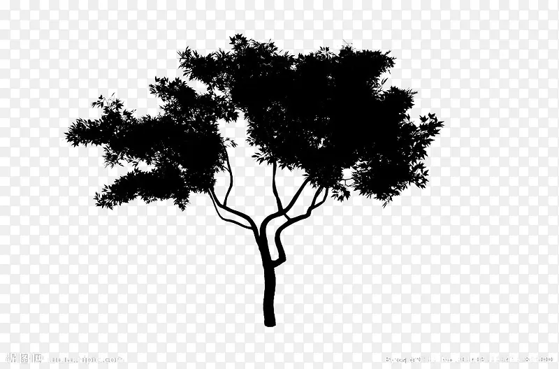 ��֦��Ӱ-������