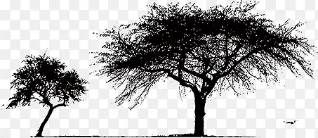 ������Ӱ-������