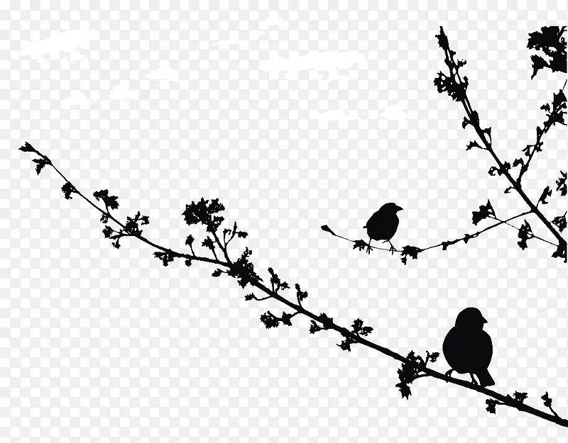 ��֦֦ѿ��С���Ӱ-������