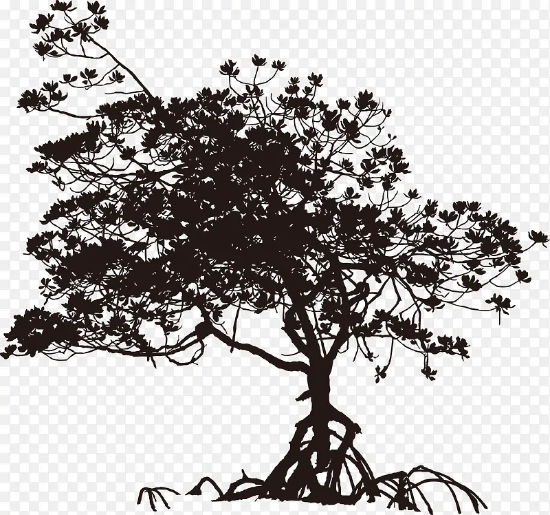 ������֦-������