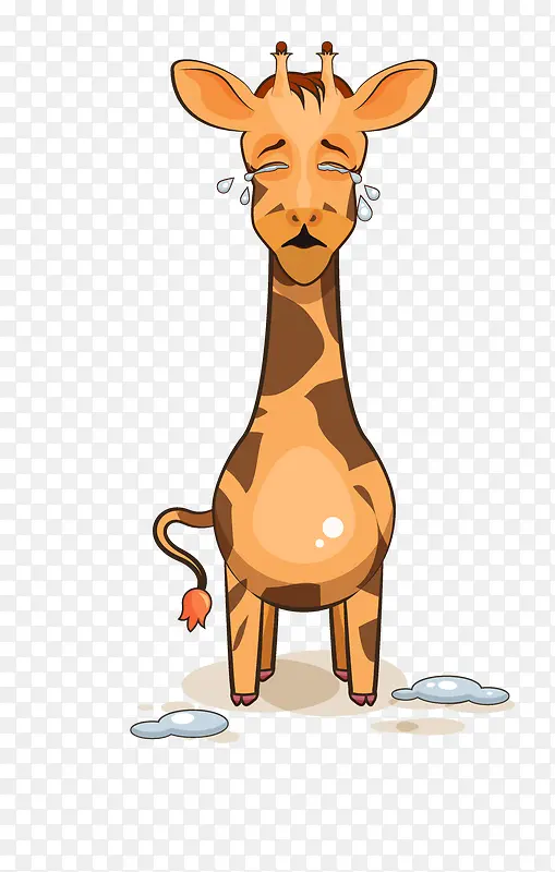 ��ͨ�ɰ�С����װ����ƶ���ͷ��-������