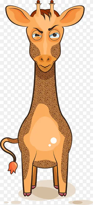 ��ͨ�ɰ�С����װ����ƶ���ͷ��-������