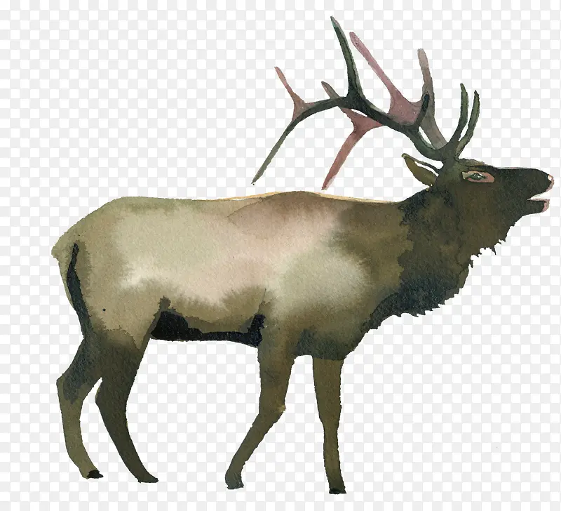 ��ͨ�ɰ�С����װ�ζ���ͷ��-������