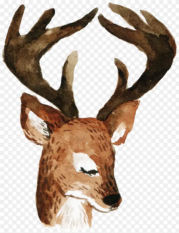 ��ͨ�ɰ�С����װ�ζ���ͷ��-������