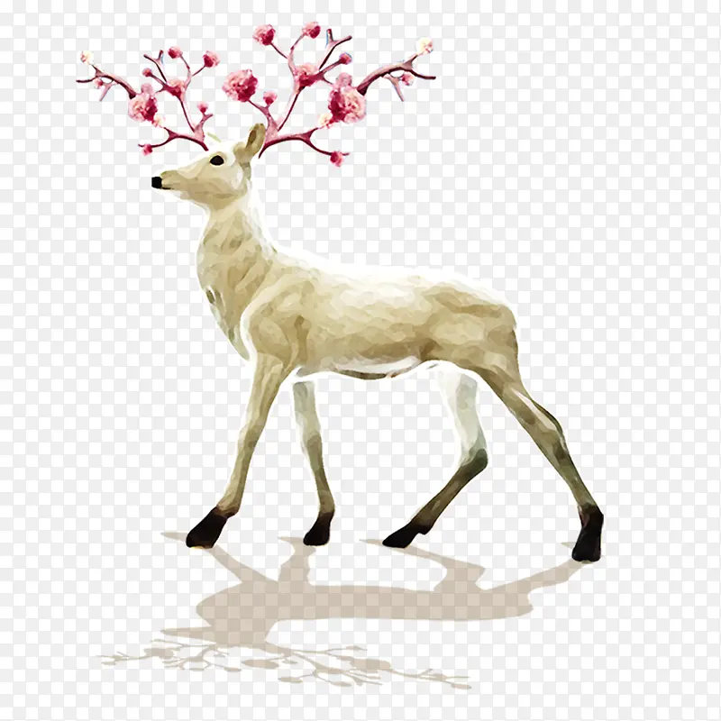 ��ͨ�ɰ�С����װ�ζ���ͷ��-������