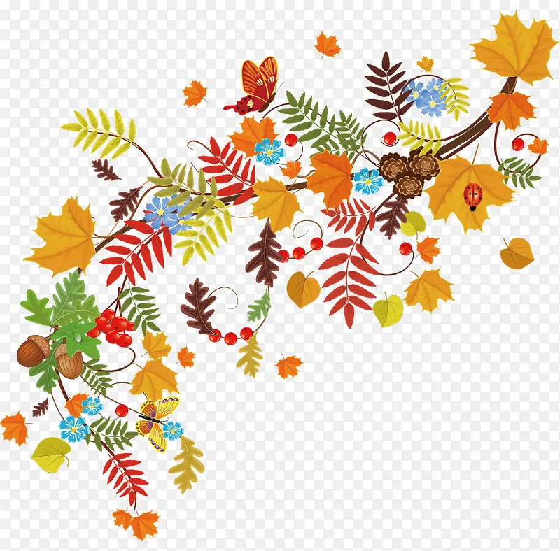 ����Ļ���-������