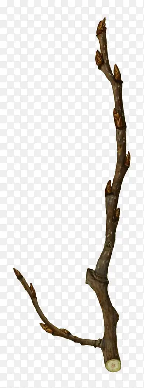 �ֻ���֦-������