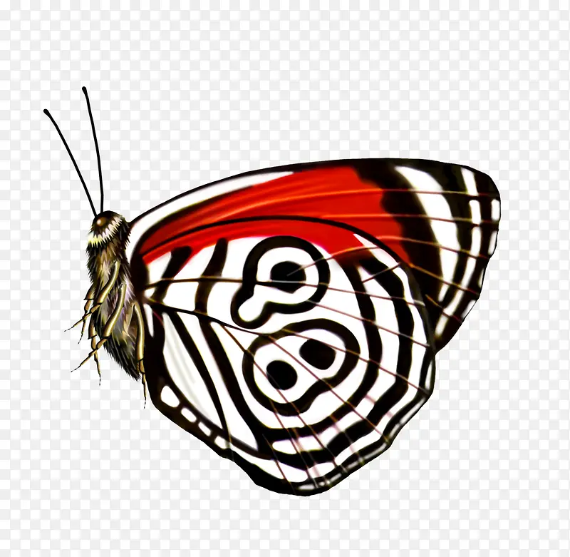 ����-������