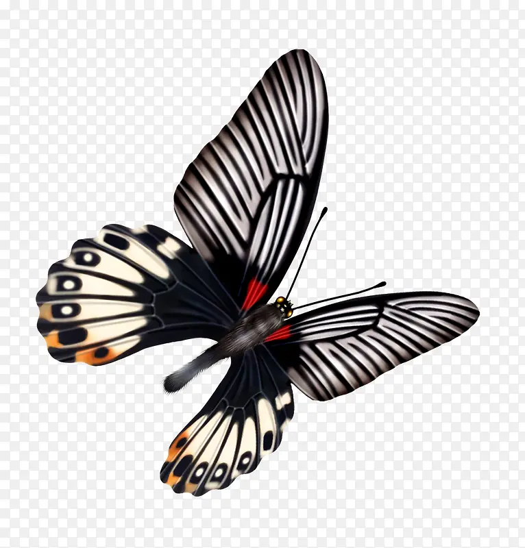 ����-������