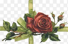 �ֻ滨���زĸ���ͼƬ-������