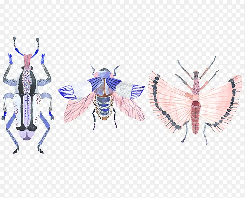 �ֻ�ˮ��С��������-������