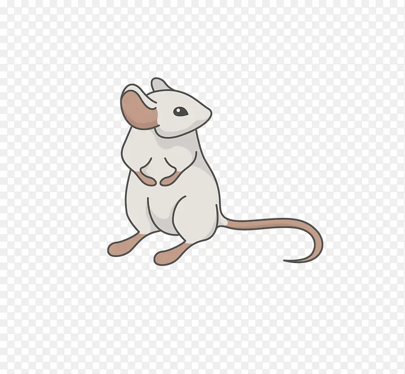 ��ͨ�ɰ�С����װ�ζ���ͷ��-������