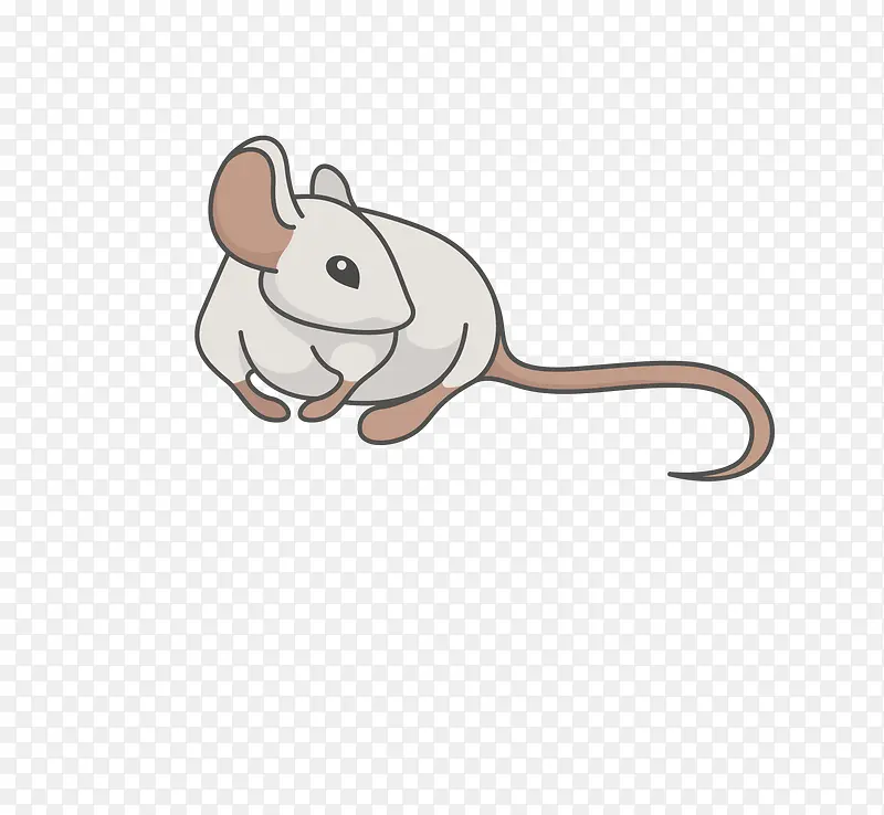 ��ͨ�ɰ�С����װ�ζ���ͷ��-������